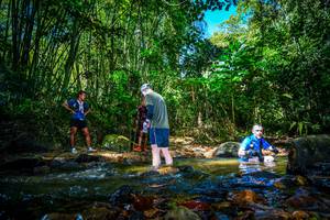 BIB: 
                            <button type="button" onclick="openModal(21765133)" class="btn btn-primary btn-sm float-right btn-popup" data-toggle="modal" data-target=".modal-high-quality">
                        <i class="fas fa-shopping-cart"></i> Add to Cart
                    </button>
                                            <button type="button" onclick="isThisMe(21765133, true)" class="btn btn-success btn-sm float-right btn-popup btn-isme hidden" data-toggle="tooltip" data-placement="bottom" title="นี่คือรูปของคุณใช่ไหม คลิกที่นี่เพื่อเอาเข้าอัลบั้ม">
                        <i class="fas fa-plus"></i> Add to album
                    </button>
                    <button type="button" onclick="isThisMe(21765133, false)" class="btn btn-warning btn-sm float-right btn-popup btn-isnotme hidden">
                        <i class="fas fa-ban"></i> Remove from album
                    </button>